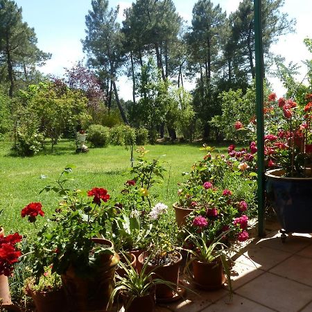 Domaine Du Planas - Patio Villa Ailhon Bagian luar foto